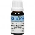 CALCIUM FLUORATUM Q 1 Lösung