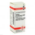 CALCIUM PHOSPHORICUM LM VI Dilution