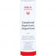 CAMPHORA/HYPERICUM Unguentum