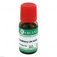 CAMPHORA LM 18 Dilution