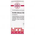 CANDIDA ALBICANS C 100 Globuli Ind.Fert.