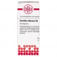 CANDIDA ALBICANS C 6 Globuli Ind.Fert.