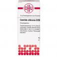 CANDIDA ALBICANS D 200 Globuli
