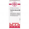 CANDIDA ALBICANS D 30 Tabletten