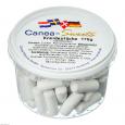 CANEA Sweets Kreidestücke Dragees