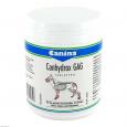CANHYDROX GAG Tabletten vet.
