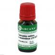CANNABIS SATIVA e seminibus LM 24 Dilution