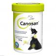 CANOSAN Konzentrat vet.