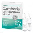 CANTHARIS COMPOSITUM ad us.vet.Ampullen
