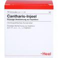 CANTHARIS INJEEL Ampullen