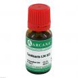 CANTHARIS LM 12 Dilution