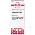 CAPSICUM C 1000 Globuli Ind.Fert.