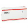 CAPSICUM D 12 Ampullen