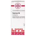 CAPSICUM D 8 Globuli Ind.Fert.