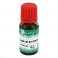 CAPSICUM LM 18 Dilution