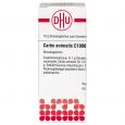 CARBO ANIMALIS C 1000 Globuli Ind.Fert.