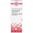 CARBO ANIMALIS D 8 Dilution