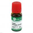 CARBO ANIMALIS LM 12 Dilution