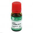 CARBO ANIMALIS LM 6 Dilution