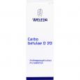 CARBO BETULAE D 20 Trituration