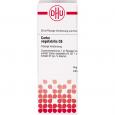 CARBO VEGETABILIS C 6 Dilution