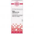 CARBO VEGETABILIS D 10 Dilution