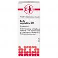 CARBO VEGETABILIS D 20 Globuli Ind.Fert.