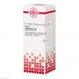 CARBO VEGETABILIS D 8 Dilution