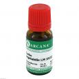 CARBO VEGETABILIS LM 18 Dilution
