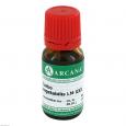 CARBO VEGETABILIS LM 30 Dilution