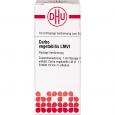 CARBO VEGETABILIS LM VI Dilution