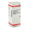 CARDIOSPERMUM D 2 Dilution