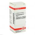 CARDIOSPERMUM D 2 Tabletten