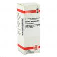 CARDUUS MARIANUS D 2 Dilution