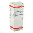 CARDUUS MARIANUS D 2 Dilution