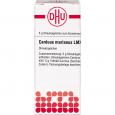 CARDUUS MARIANUS LM XXX Globuli