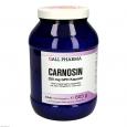 CARNOSIN 250 mg GPH Kapseln