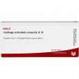 CARTILAGO articularis coxae GL D 12 Ampullen