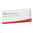 CARTILAGO articularis coxae GL D 15 Ampullen