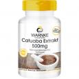 CATUABA EXTRAKT 500 mg Kapseln
