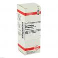 CAULOPHYLLUM THALICTROIDES D 4 Dilution