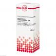 CAUSTICUM HAHNEMANNI D 4 Dilution