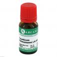 CAUSTICUM HAHNEMANNI LM 12 Dilution