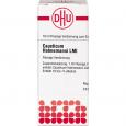 CAUSTICUM HAHNEMANNI LM I Dilution Ind.Fert.