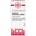CAUSTICUM HAHNEMANNI LM XXIV Dilution