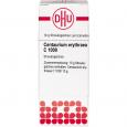 CENTAURIUM ERYTHRAEA C 1000 Globuli Ind.Fert.
