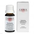 CERES Glechoma hederacea Urtinktur