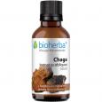 CHAGA INONOTUS obliquus Tinktur
