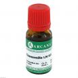 CHAMOMILLA LM 12 Dilution