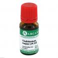 CHELIDONIUM MAJUS LM 12 Dilution